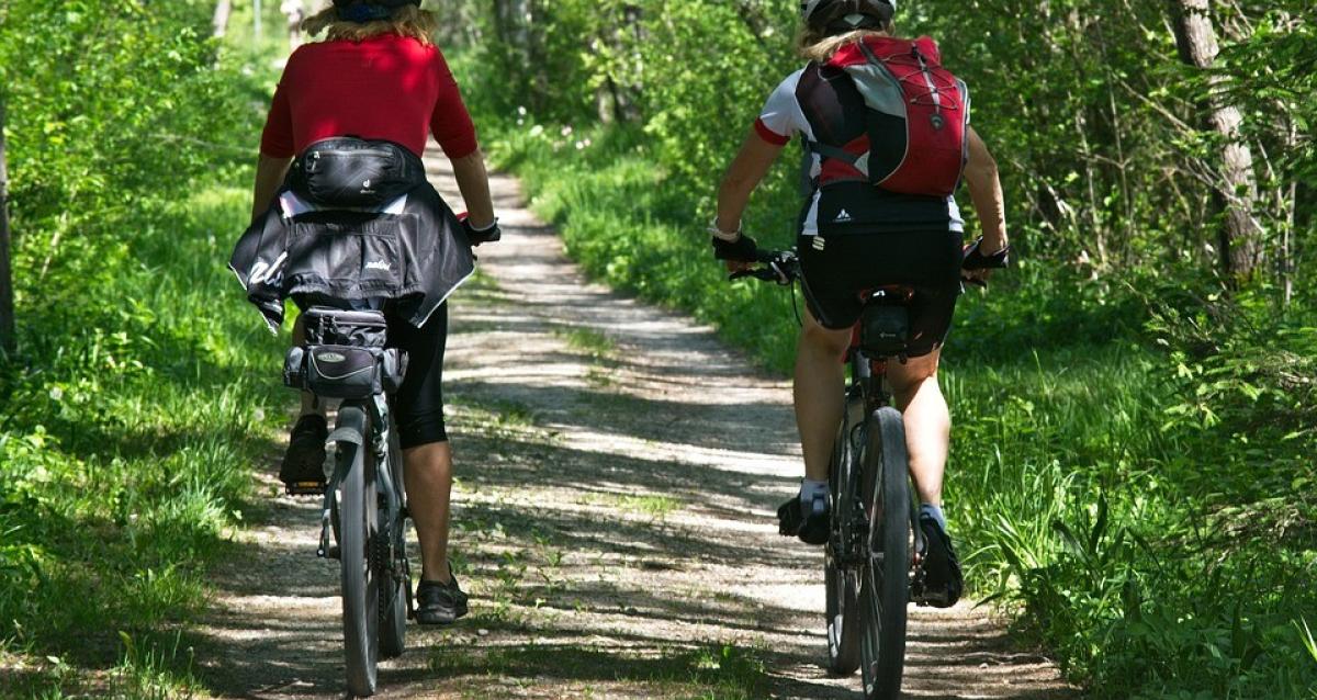 Cycling in the new hot sale forest