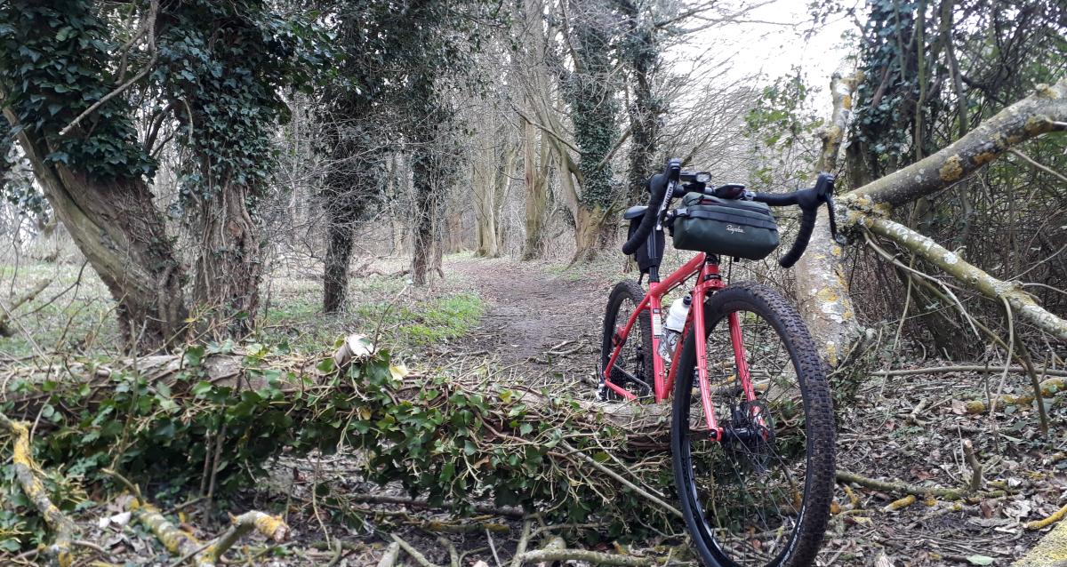 Group test Gravel tyres Cycling UK