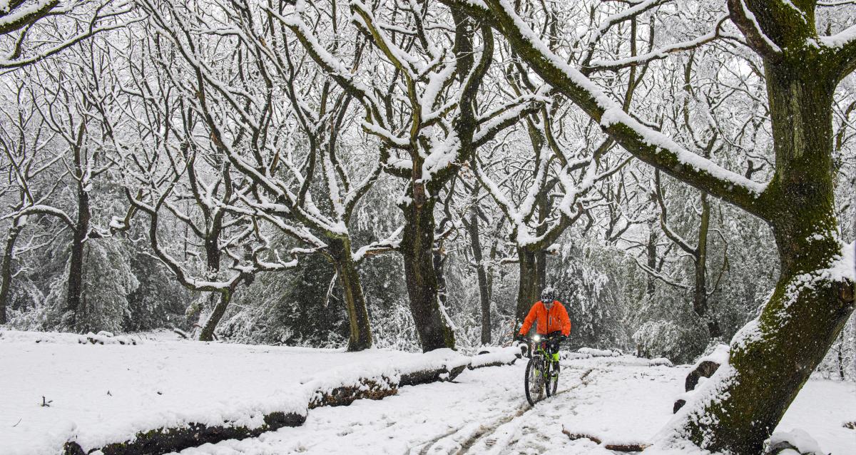 Mountain biking in the best sale snow