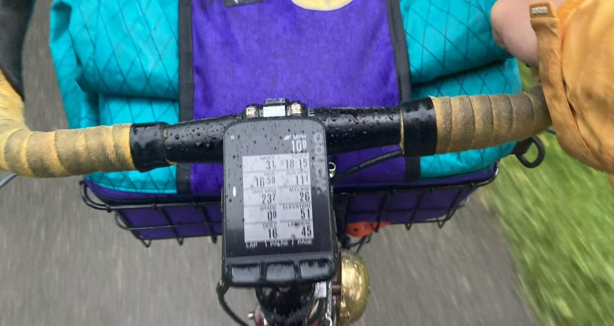 Wahoo fitness elemnt roam gps hotsell bike computer