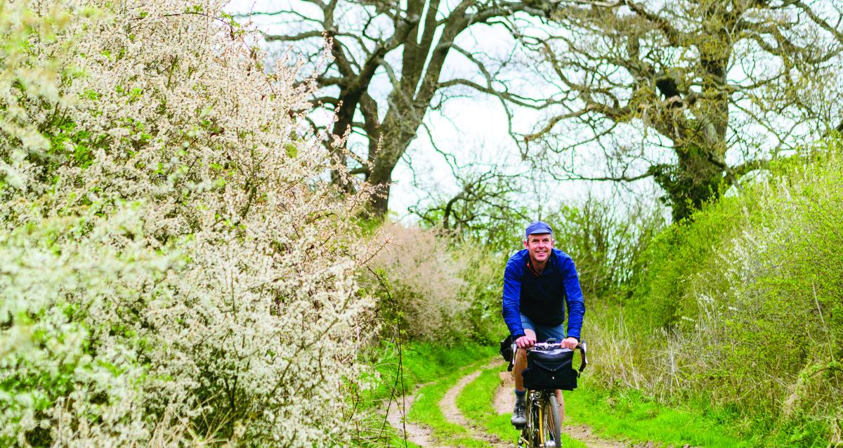 Cycle panniers lidl online