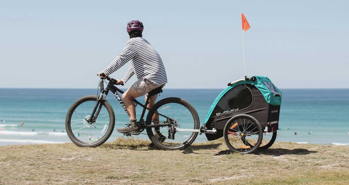 Beach bike trailer discount