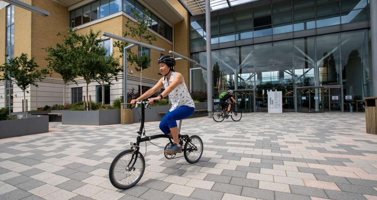 Workplace bikes online