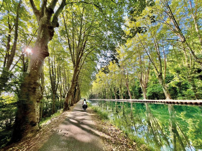 A paved path runs alongside a canal. A tunnel of trees leans over the path and water; it's very green. A cyclist is riding along the path in the distance.
