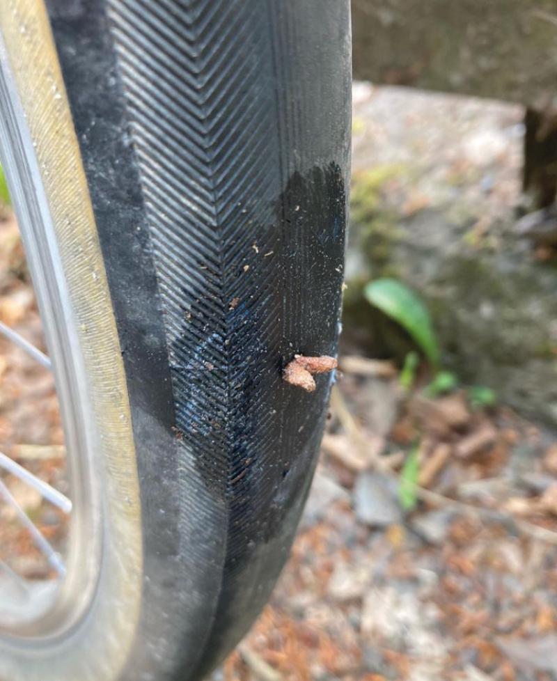 A close-up of a bicycle tyre with a tyre plug to fix a puncture