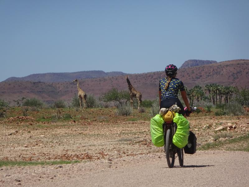 A woman in cycling kit is riding a loaded touring bike on a dirt track through African countryside with giraffes in the background
