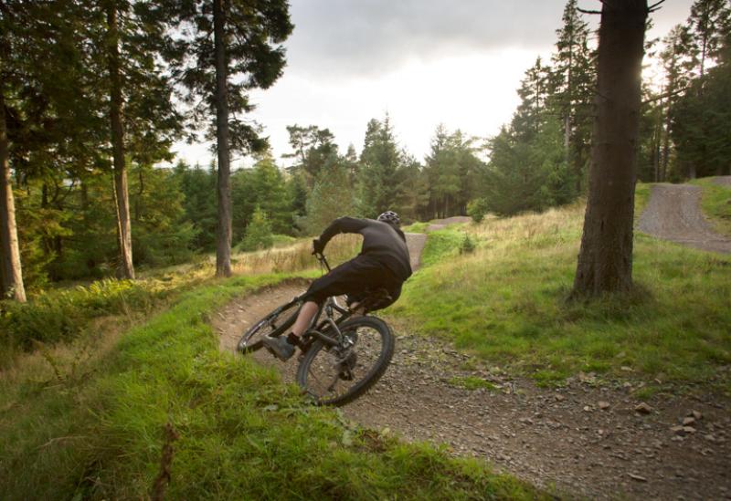 A mountain biker wearing black MTB kit is riding a mountain bike up a gravel track through a forest
