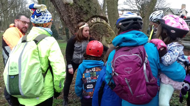 Learning about the suffragette tree