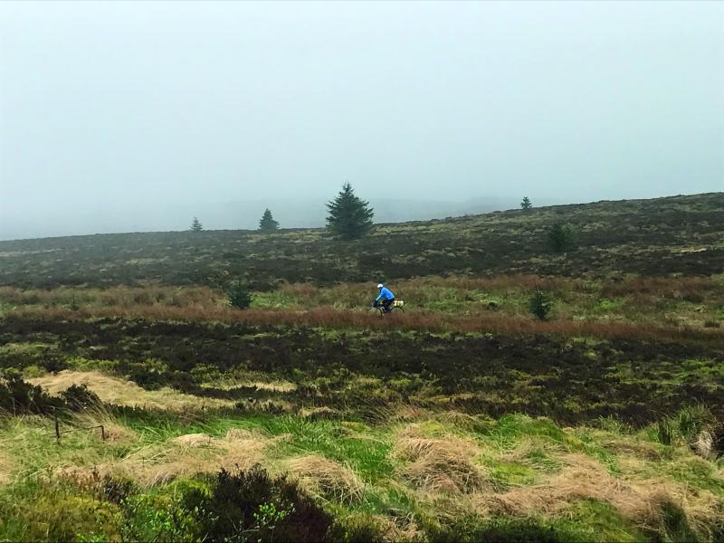 A man cycles through a moorland, the sky behind him is foggy and there are Pine trees dotted throughout the landscape