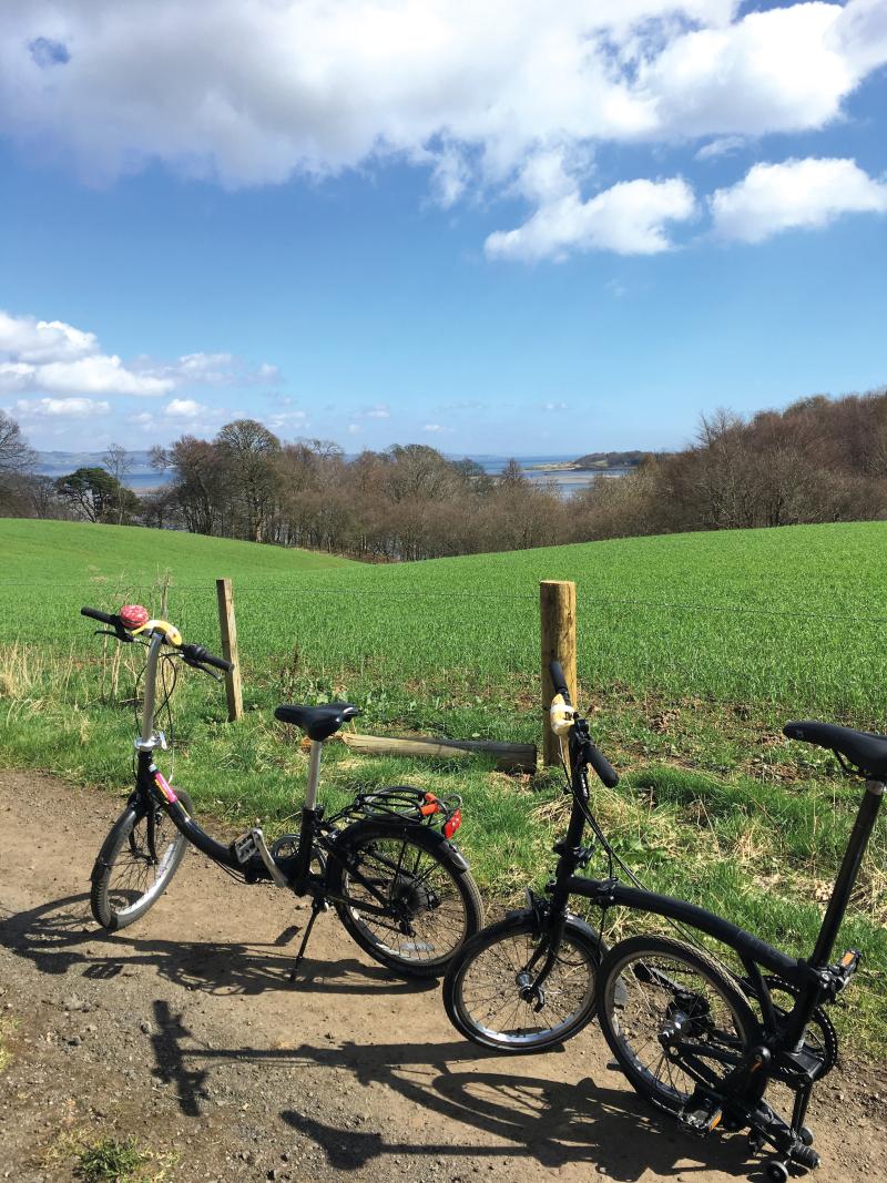 Two folding bikes