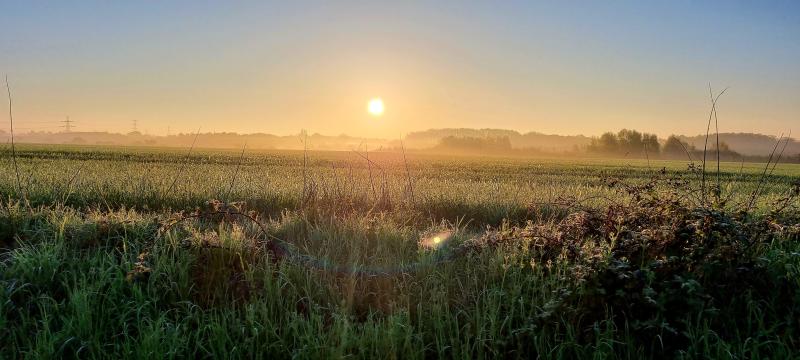 Hazy low winter sun over a frosty meadow