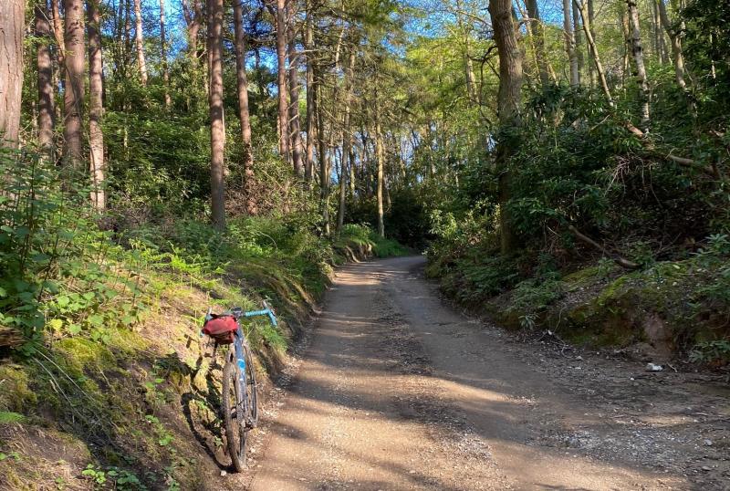 Bike leaning beside a tree-lined gravel track