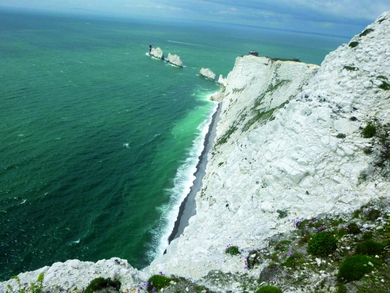 The needles