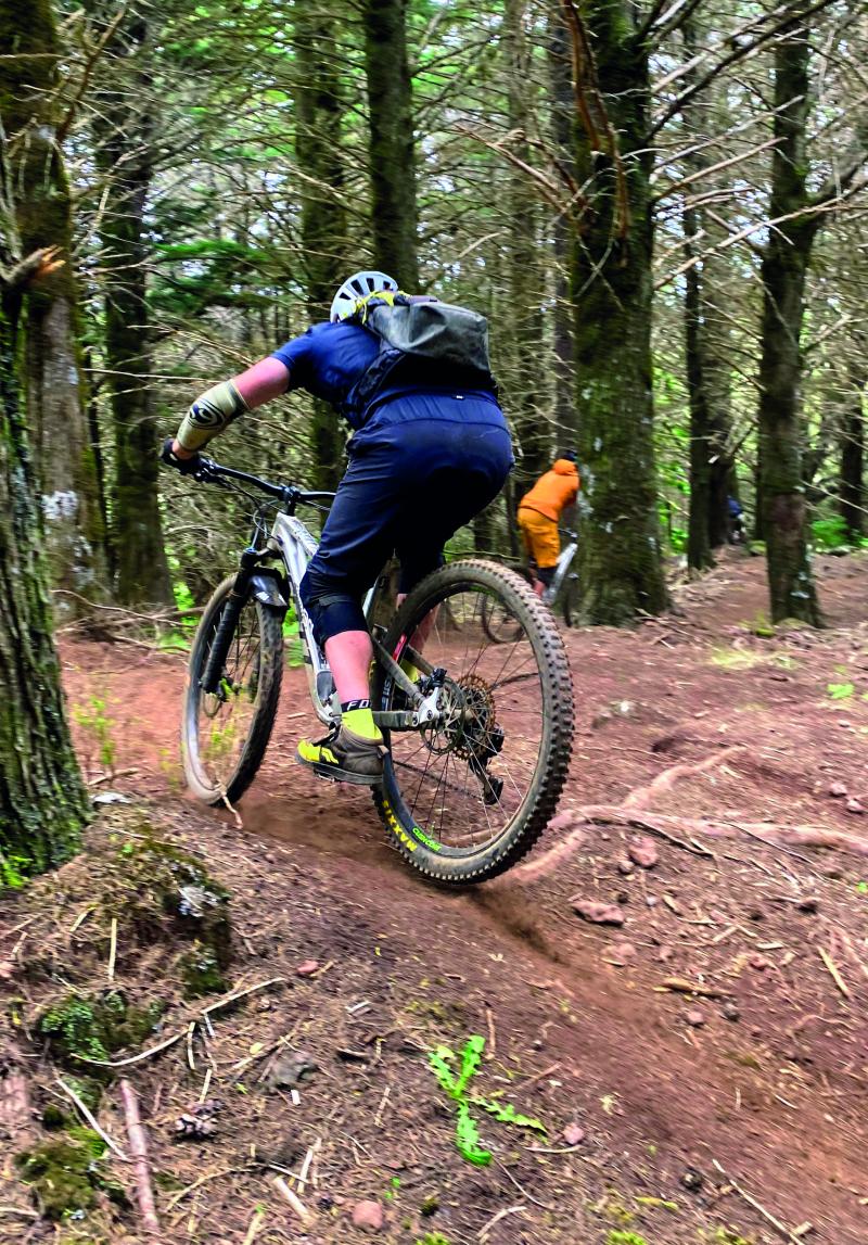 A mountain biker cycles uphill along a dusty trail in amongst woodland