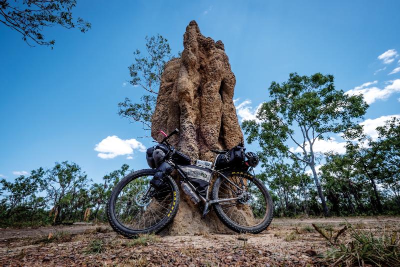 Cathedral termite mound-surprise at Creek Reynolds river track