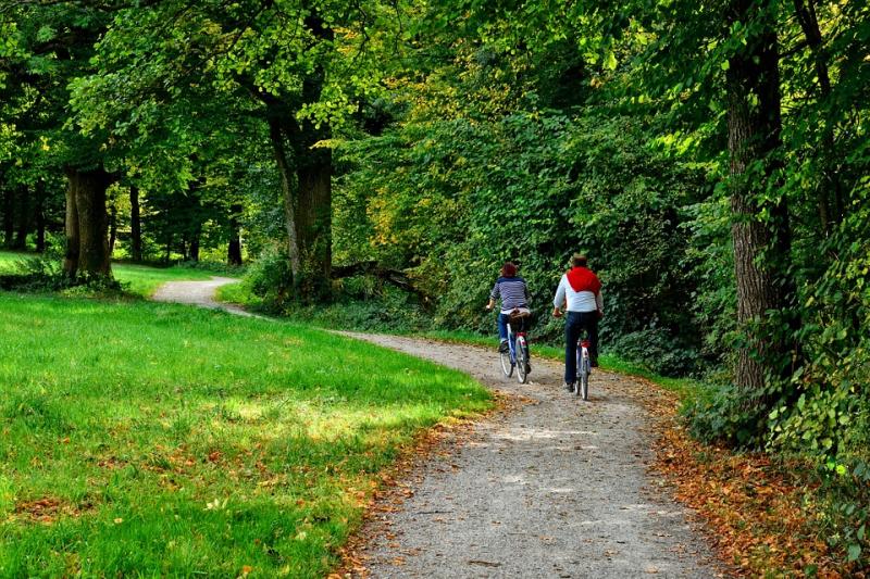 Couple cycling along woodland trail