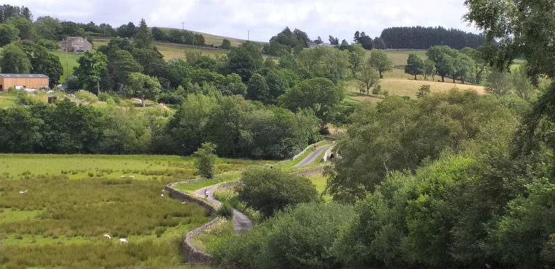 A rural lane winds through a luscious green landscape