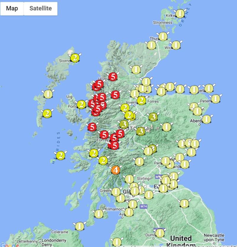 midge forecast map