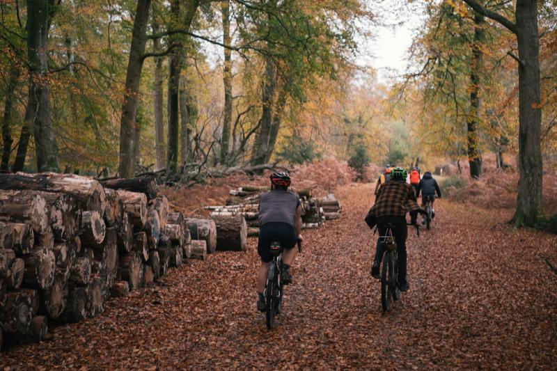 Cycling through the New Forest with The Woods Cyclery. Photo: Tom Farrel