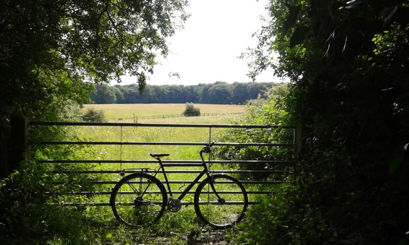 A bicycle leans against a metal fence looking out on a field. The bicycle has upright handle bars and a pannier rack on the back