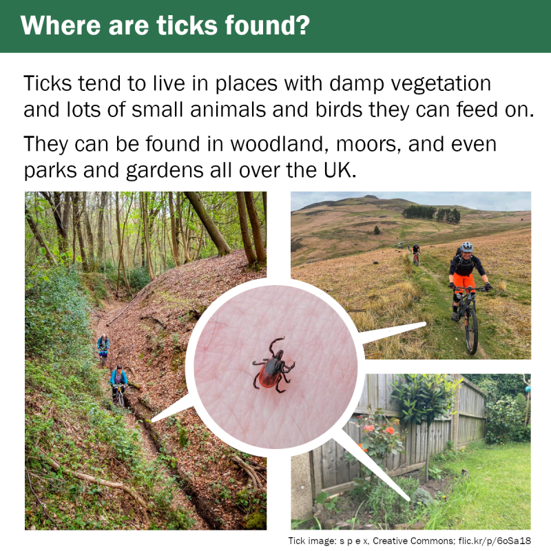 Where ticks are found