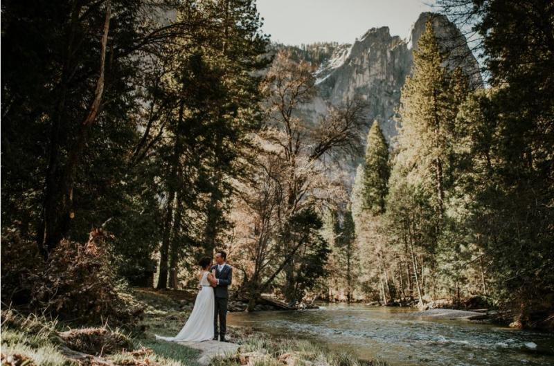 Yosemite Park Wedding