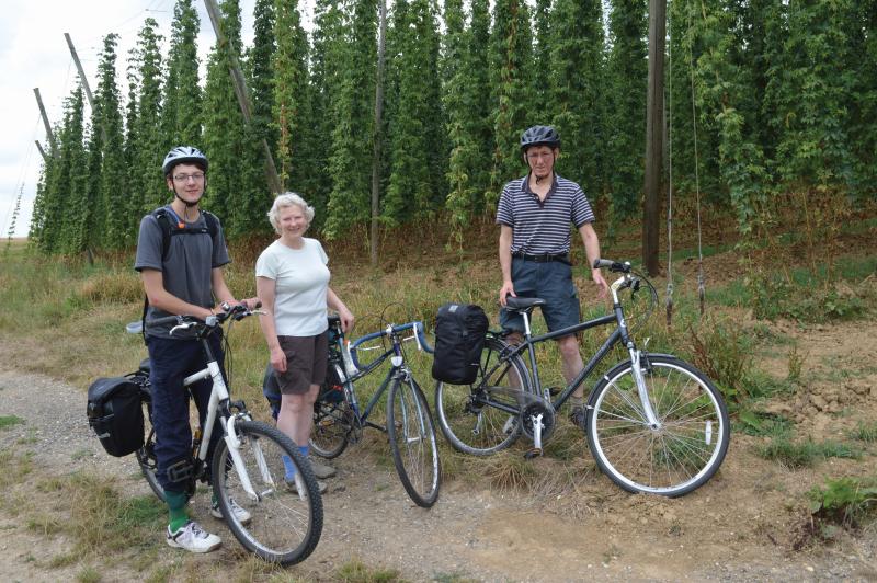 Bavarian hop fields