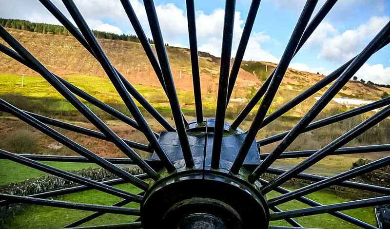 The Cambrian memorial