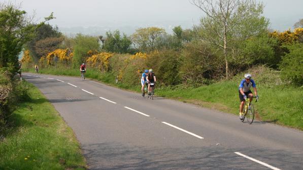 Group of four cyclists on the road