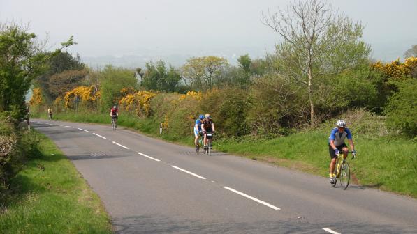 Group of four cyclists on the road
