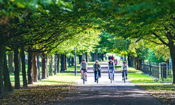 Four cyclists pedal down a road framed by an avenue of trees in leaf