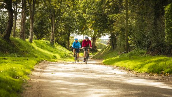 Two people cycling down a tree-lined path towards the camera