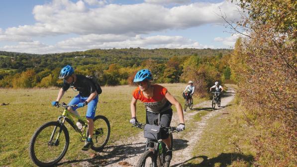 Four people are cycling up a hill on mountain bikes in the North Downs. It's autumn and all the leaves are turning gold and amber