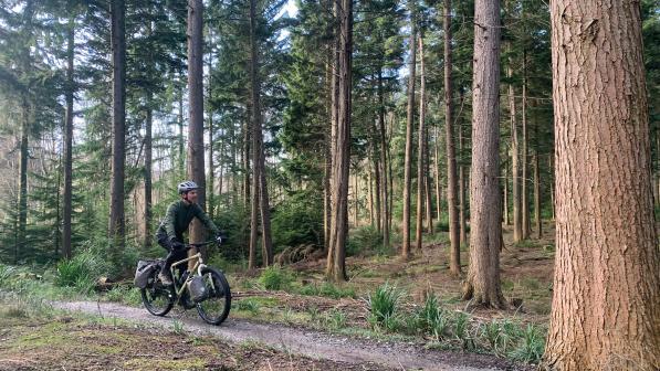 A man is riding a loaded flat-bar touring bike on a gravel track through a forest