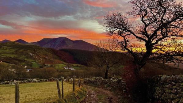 A scenic shot at sunset of Welsh mountains and sheep fields, with a silhouette of a tree on the right-hand side. The sky is a mix of blue, orange and yellow