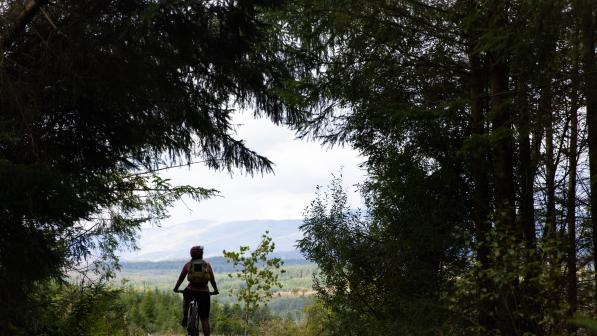 A woman sits on her mountain bike amongst large trees in a wooded area, overlooking a mountainous valley
