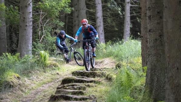 Easy mountain biking trails online
