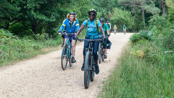 riders in a wood