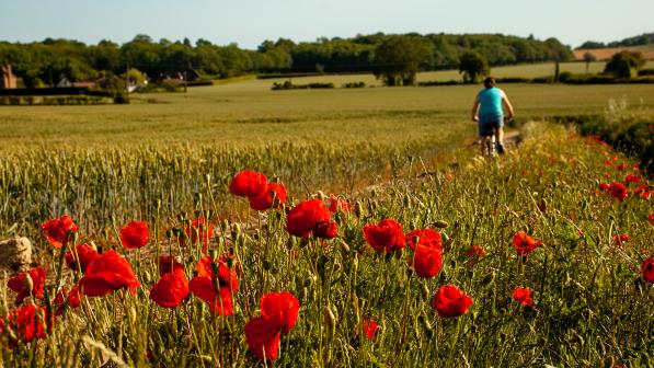 AdrianWills_Kent_womenscycling_June2020 (11).jpg