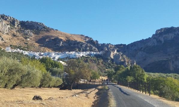 A quiet lane leading into a village on a mountainside. There are olive trees lining the road