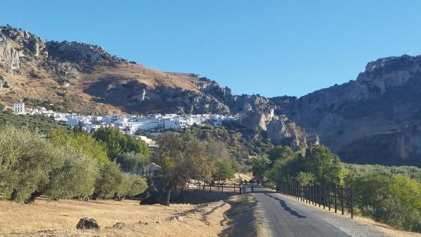 A quiet lane leading into a village on a mountainside. There are olive trees lining the road