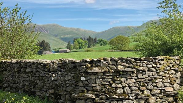 A scenic shot with a dry stone wall in the foreground with a field, trees and mountains in the background, framed by a blue sky