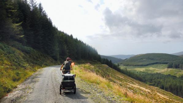 A person is cycling with a child trailer on a gravel track through pine-covered mountains