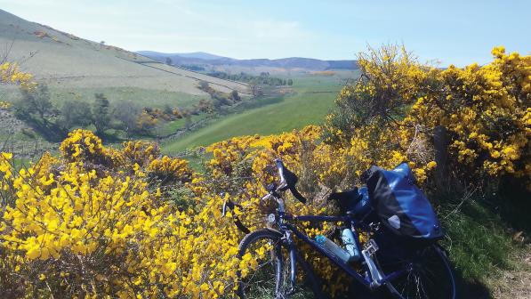 A loaded touring bike is leaning against a gorse hedge overlooking a green and verdant valley