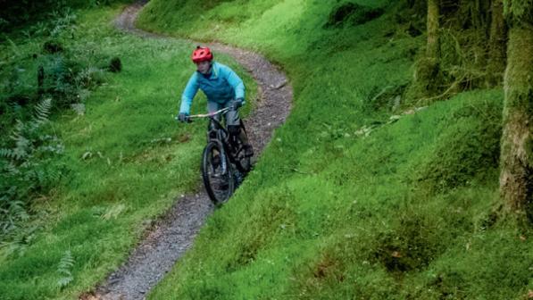 Dyfi mtb trails new arrivals