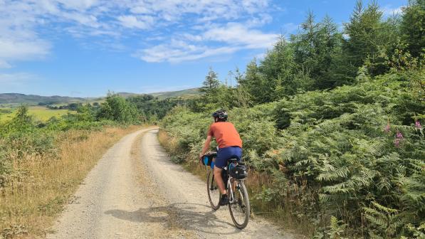A man in an orange T-shirt and blue shorts is riding a loaded gravel bike on a gravel track through fern- and pine-covered mountains