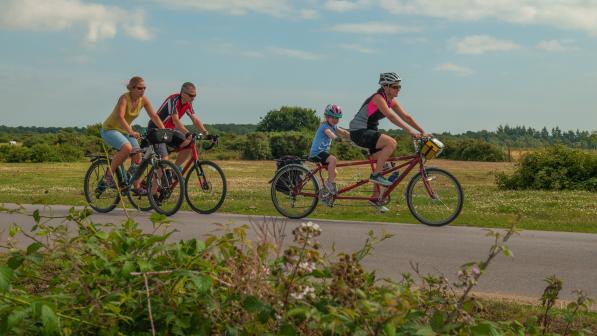 A woman and child are cycling on a tandem, with the child on the back, along a country road. There are two people on solo bikes behind them - a man on a road bike, a woman on a mountain bike. They are wearing normal clothes. The child and woman on the tandem are wearing helmets
