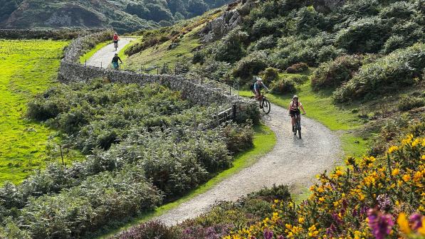 A group of four people is riding down an off-road path through Welsh mountains with gorse in the foreground