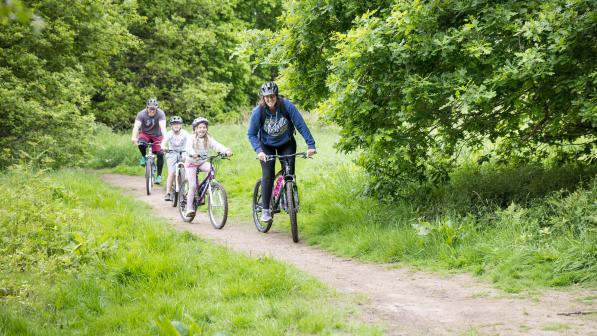A family of four cycles together along a tree-lined dirt path in a green, leafy park.