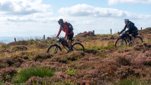 Two people with backpacks and loaded touring bikes are cycling down a heather-clad mountain